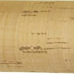 Browning 3,00m 10' CK Bomb Werpgewicht: 40g / 3-6lbs -Exporteren Hengels winkel 12236300 D3 scaled 1